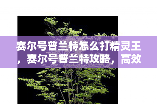 赛尔号普兰特怎么打精灵王,赛尔号普兰特攻略,高效击败普兰特策略 赛尔号普兰特怎么打精灵王,赛尔号普兰特攻略,高效击败普兰特策略