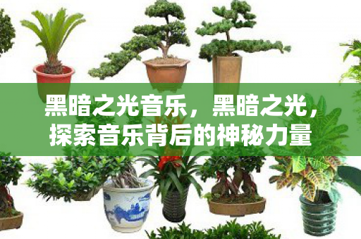 黑暗之光音乐，黑暗之光，探索音乐背后的神秘力量