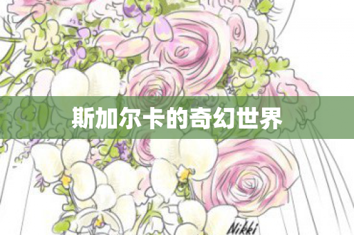 斯加尔卡的奇幻世界 斯加尔卡的奇幻世界