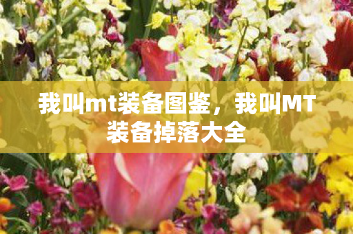 我叫mt装备图鉴,我叫MT装备掉落大全 我叫mt装备图鉴,我叫MT装备掉落大全