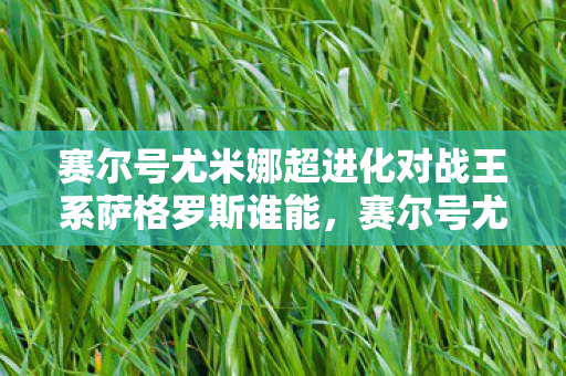 赛尔号尤米娜超进化对战王系萨格罗斯谁能，赛尔号尤米娜超进化，探索宇宙深处的神秘力量