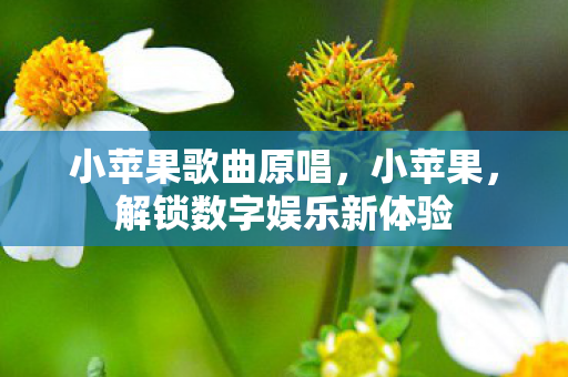 小苹果歌曲原唱,小苹果,解锁数字娱乐新体验 小苹果歌曲原唱,小苹果,解锁数字娱乐新体验