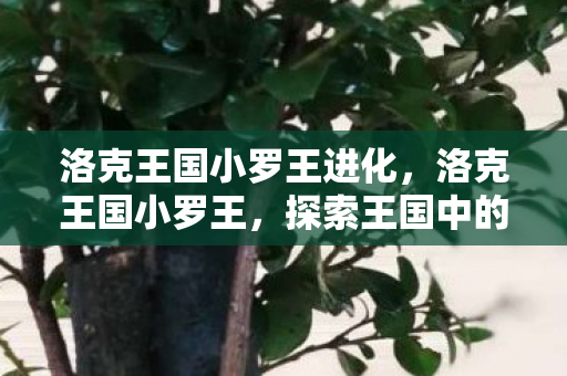 洛克王国小罗王进化,洛克王国小罗王,探索王国中的奇妙冒险 洛克王国小罗王进化,洛克王国小罗王,探索王国中的奇妙冒险