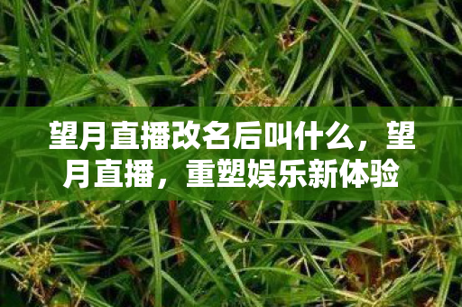 望月直播改名后叫什么,望月直播,重塑娱乐新体验 望月直播改名后叫什么,望月直播,重塑娱乐新体验