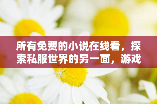 所有免费的小说在线看,探索私服世界的另一面,游戏乐趣与社区文化的独特魅力 所有免费的小说在线看,探索私服世界的另一面,游戏乐趣与社区文化的独特魅力