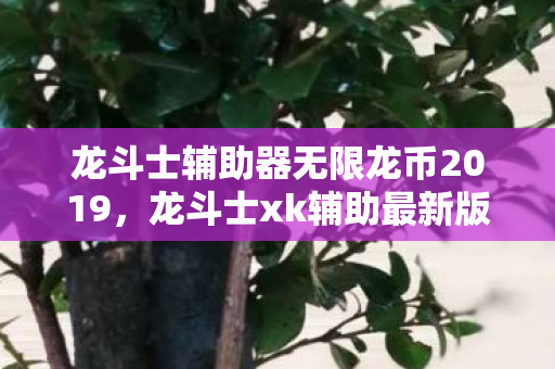 龙斗士辅助器无限龙币2019，龙斗士xk辅助最新版，提升游戏体验的必备神器