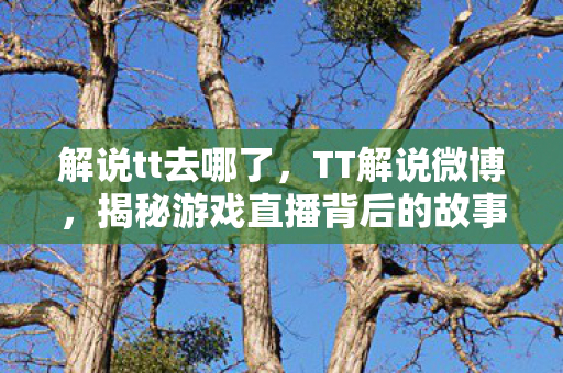 解说tt去哪了,TT解说微博,揭秘游戏直播背后的故事 解说tt去哪了,TT解说微博,揭秘游戏直播背后的故事