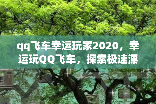 qq飞车幸运玩家2020，幸运玩QQ飞车，探索极速漂移的无限可能