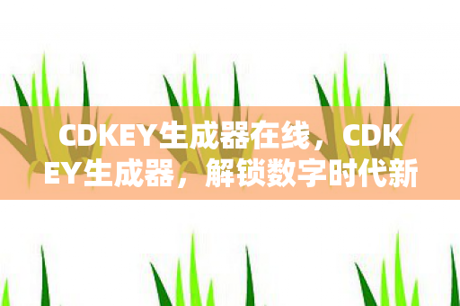CDKEY生成器在线,CDKEY生成器,解锁数字时代新体验 CDKEY生成器在线,CDKEY生成器,解锁数字时代新体验