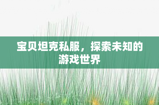 宝贝坦克私服,探索未知的游戏世界 宝贝坦克私服,探索未知的游戏世界