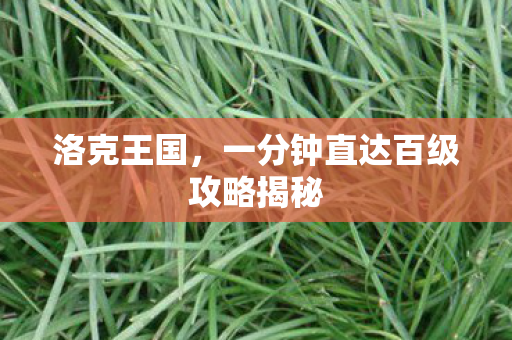 洛克王国,一分钟直达百级攻略揭秘 洛克王国,一分钟直达百级攻略揭秘