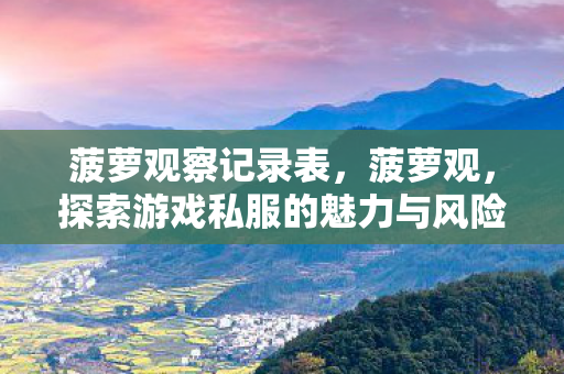 菠萝观察记录表,菠萝观,探索游戏私服的魅力与风险 菠萝观察记录表,菠萝观,探索游戏私服的魅力与风险