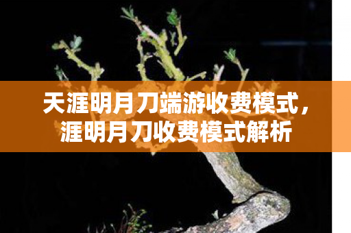 天涯明月刀端游收费模式，涯明月刀收费模式解析