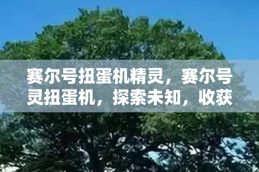 赛尔号扭蛋机精灵,赛尔号灵扭蛋机,探索未知,收获惊喜 赛尔号扭蛋机精灵,赛尔号灵扭蛋机,探索未知,收获惊喜