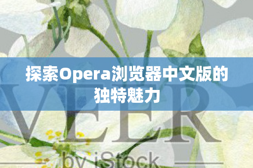 探索Opera浏览器中文版的独特魅力 探索Opera浏览器中文版的独特魅力