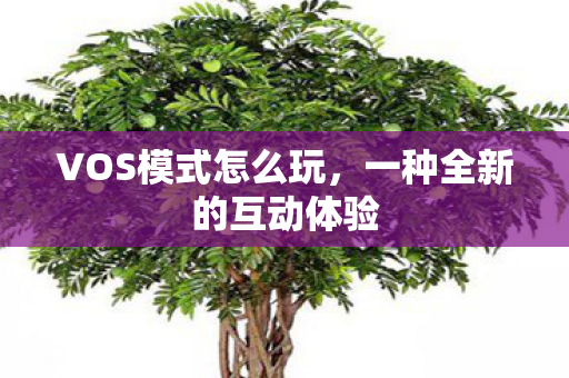 VOS模式怎么玩,一种全新的互动体验 VOS模式怎么玩,一种全新的互动体验