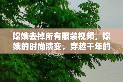 嫦娥去掉所有服装视频,嫦娥的时尚演变,穿越千年的服饰变迁 嫦娥去掉所有服装视频,嫦娥的时尚演变,穿越千年的服饰变迁