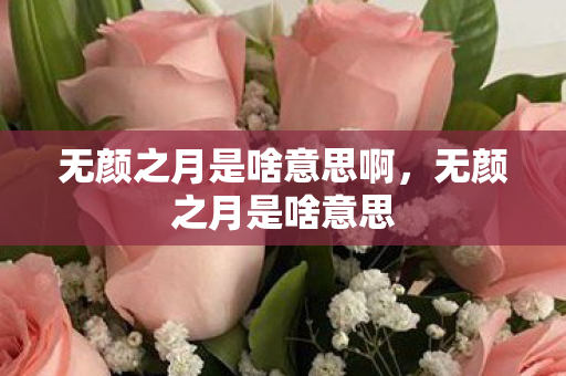 无颜之月是啥意思啊，无颜之月是啥意思
