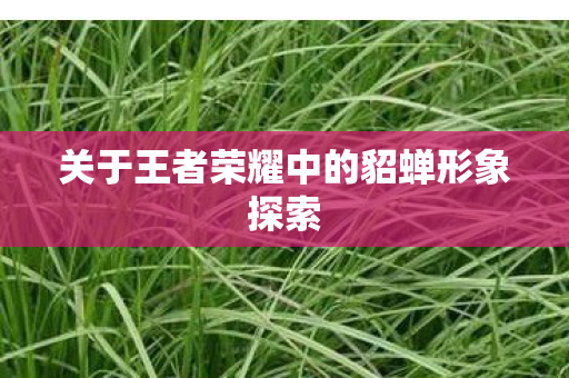 关于王者荣耀中的貂蝉形象探索 关于王者荣耀中的貂蝉形象探索
