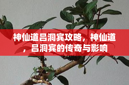 神仙道吕洞宾攻略，神仙道，吕洞宾的传奇与影响