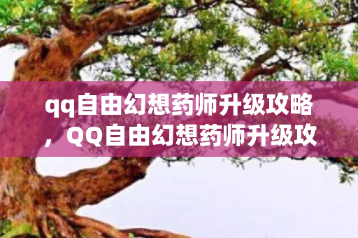 qq自由幻想药师升级攻略，QQ自由幻想药师升级攻略