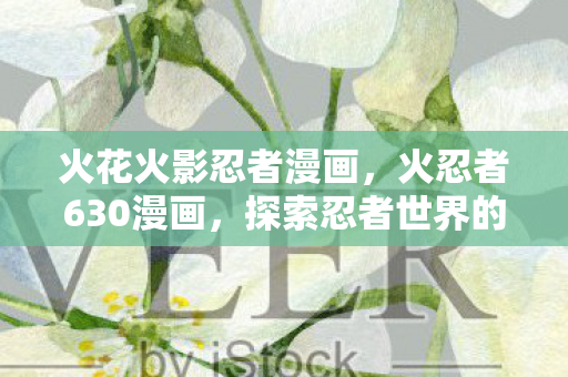 火花火影忍者漫画，火忍者630漫画，探索忍者世界的奇幻之旅