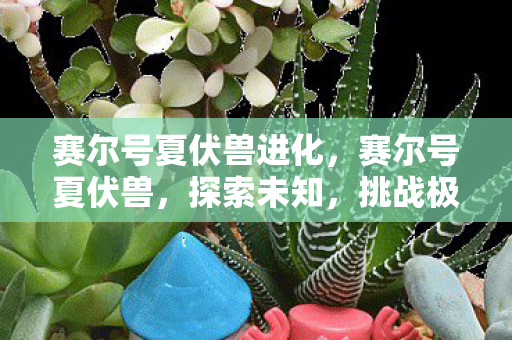 赛尔号夏伏兽进化,赛尔号夏伏兽,探索未知,挑战极限 赛尔号夏伏兽进化,赛尔号夏伏兽,探索未知,挑战极限
