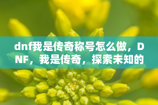 dnf我是传奇称号怎么做,DNF,我是传奇,探索未知的挑战与荣耀 dnf我是传奇称号怎么做,DNF,我是传奇,探索未知的挑战与荣耀