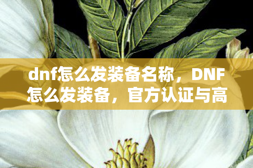 dnf怎么发装备名称，DNF怎么发装备，官方认证与高效分享攻略