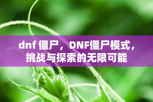 dnf 僵尸，DNF僵尸模式，挑战与探索的无限可能
