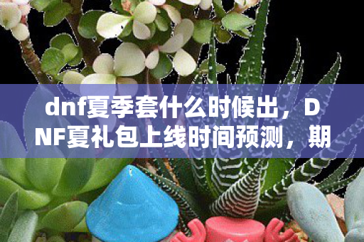 dnf夏季套什么时候出，DNF夏礼包上线时间预测，期待与惊喜并存