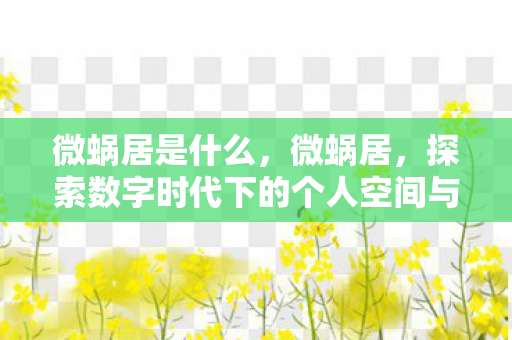 微蜗居是什么，微蜗居，探索数字时代下的个人空间与生活方式
