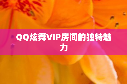 QQ炫舞VIP房间的独特魅力 QQ炫舞VIP房间的独特魅力