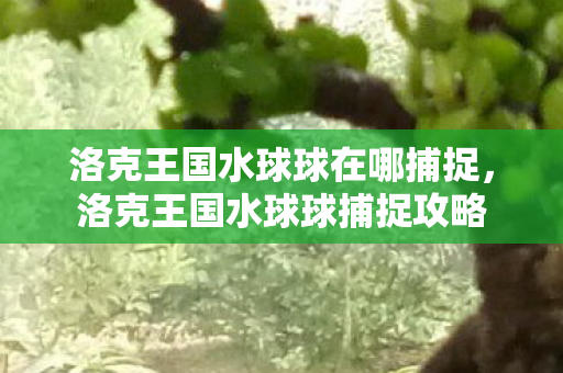 洛克王国水球球在哪捕捉,洛克王国水球球捕捉攻略 洛克王国水球球在哪捕捉,洛克王国水球球捕捉攻略