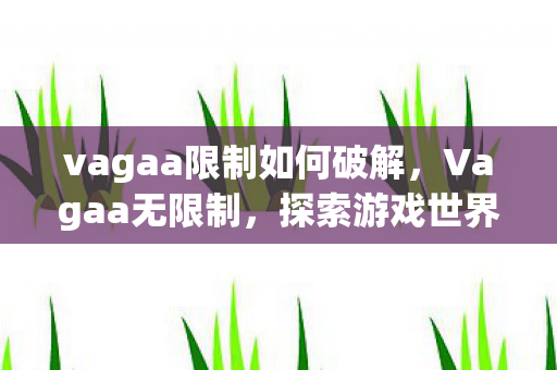 vagaa限制如何破解,Vagaa无限制,探索游戏世界的无限可能 vagaa限制如何破解,Vagaa无限制,探索游戏世界的无限可能