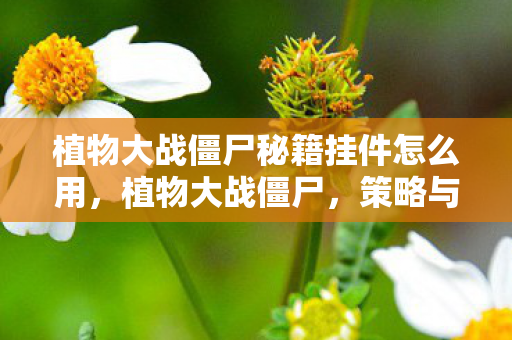 植物大战僵尸秘籍挂件怎么用,植物大战僵尸,策略与技巧的深度解析 植物大战僵尸秘籍挂件怎么用,植物大战僵尸,策略与技巧的深度解析