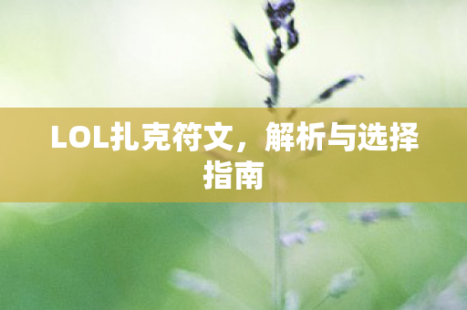 LOL扎克符文,解析与选择指南 LOL扎克符文,解析与选择指南