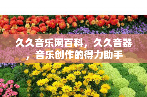 久久音乐网百科,久久音器,音乐创作的得力助手 久久音乐网百科,久久音器,音乐创作的得力助手