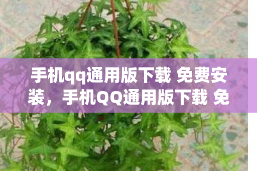 手机qq通用版下载 免费安装，手机QQ通用版下载 免费，享受便捷通讯，无需支付任何费用