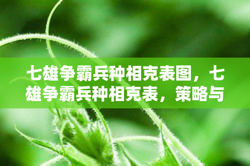七雄争霸兵种相克表图,七雄争霸兵种相克表,策略与智慧的碰撞 七雄争霸兵种相克表图,七雄争霸兵种相克表,策略与智慧的碰撞