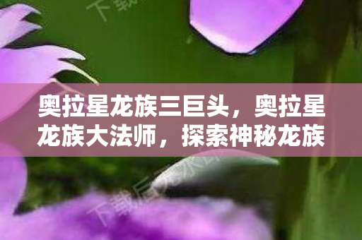 奥拉星龙族三巨头,奥拉星龙族大法师,探索神秘龙族的奇幻之旅 奥拉星龙族三巨头,奥拉星龙族大法师,探索神秘龙族的奇幻之旅