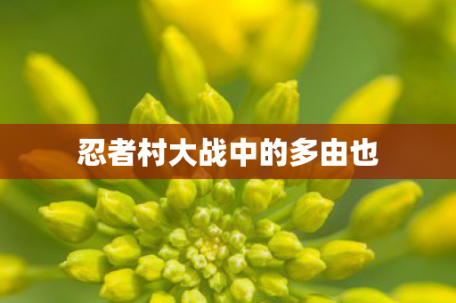 忍者村大战中的多由也 忍者村大战中的多由也