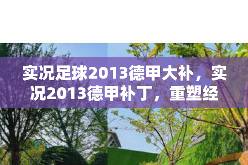实况足球2013德甲大补,实况2013德甲补丁,重塑经典,德甲赛场新风貌 实况足球2013德甲大补,实况2013德甲补丁,重塑经典,德甲赛场新风貌