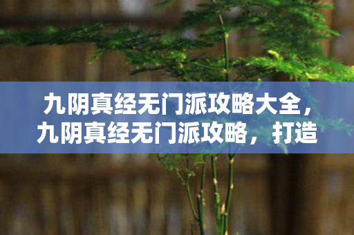 九阴真经无门派攻略大全,九阴真经无门派攻略,打造全能高手的秘籍 九阴真经无门派攻略大全,九阴真经无门派攻略,打造全能高手的秘籍