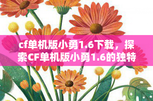 cf单机版小勇1.6下载,探索CF单机版小勇1.6的独特魅力 cf单机版小勇1.6下载,探索CF单机版小勇1.6的独特魅力