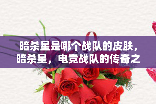 暗杀星是哪个战队的皮肤,暗杀星,电竞战队的传奇之路 暗杀星是哪个战队的皮肤,暗杀星,电竞战队的传奇之路