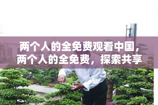 两个人的全免费观看中国,两个人的全免费,探索共享经济下的双赢模式 两个人的全免费观看中国,两个人的全免费,探索共享经济下的双赢模式