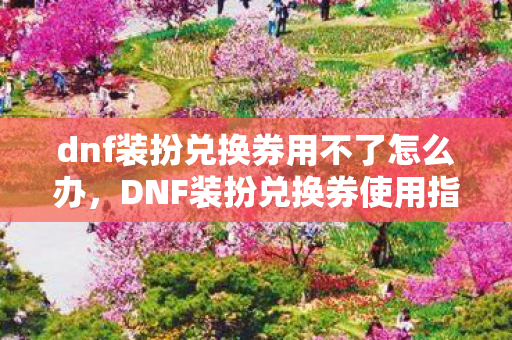 dnf装扮兑换券用不了怎么办,DNF装扮兑换券使用指南,解锁全新外观,打造个性角色 dnf装扮兑换券用不了怎么办,DNF装扮兑换券使用指南,解锁全新外观,打造个性角色