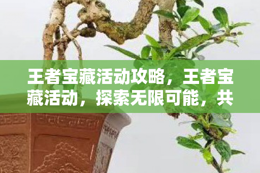 王者宝藏活动攻略,王者宝藏活动,探索无限可能,共享荣耀时刻 王者宝藏活动攻略,王者宝藏活动,探索无限可能,共享荣耀时刻