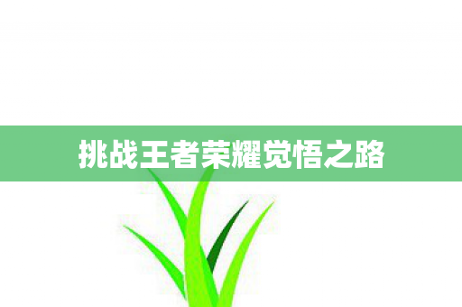 挑战王者荣耀觉悟之路 挑战王者荣耀觉悟之路